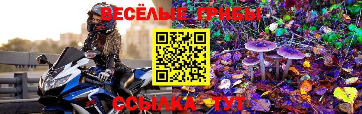 Рассказово  Псилоцибиновые грибы прущие грибы  Вход с VPN 